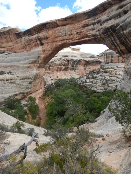 16 Natural Bridges National Monument