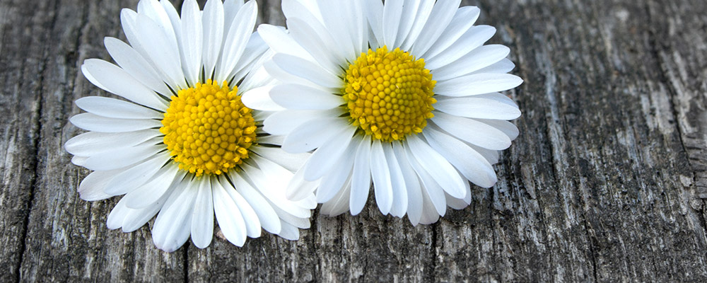 Contemporary Romance