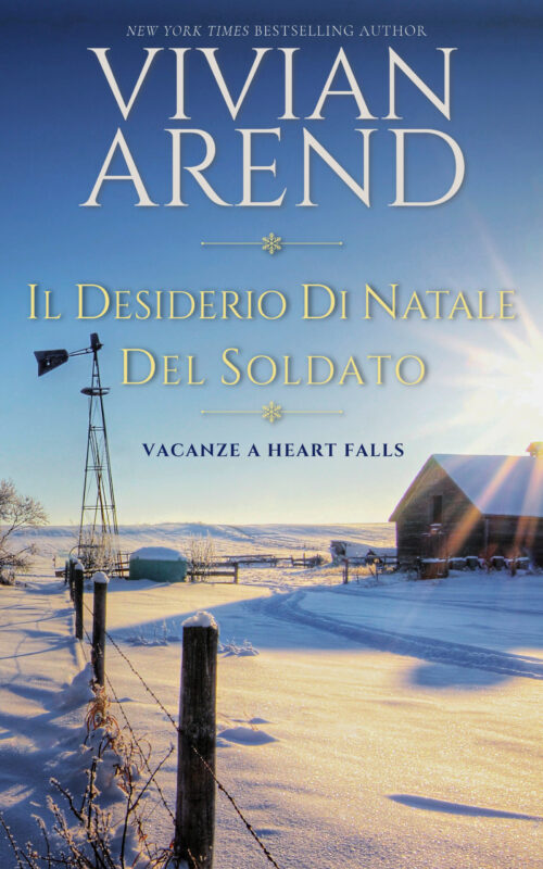 Il desiderio di Natale del soldato